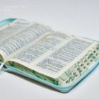 Библия каноническая – Пионы / 12407 (формат 050 средний)