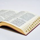 Библия каноническая – Бургунди / 12403